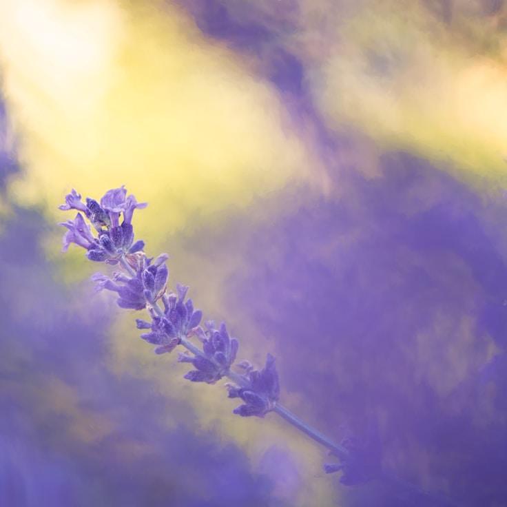 Nature travel hero image